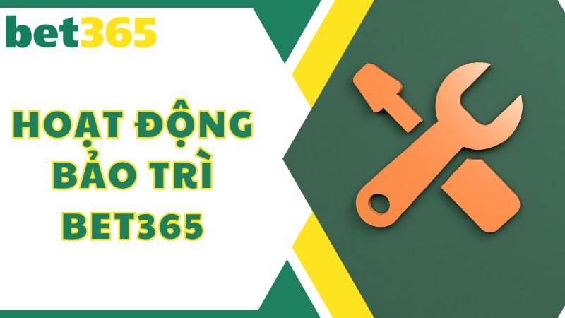 Hoạt động bảo trì website