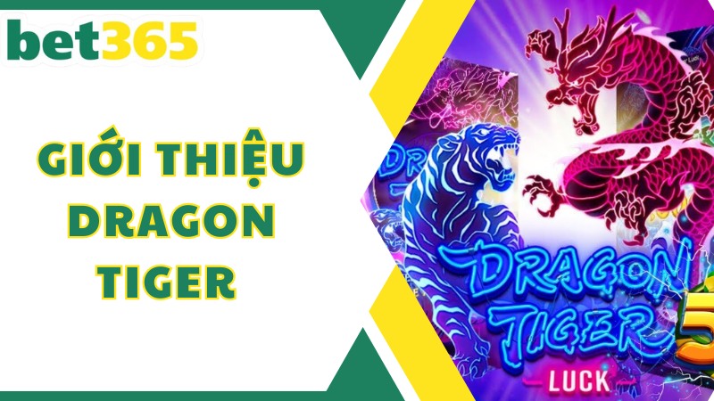 Khám phá trò chơi nổi tiếng Dragon Tiger tại Bet365 