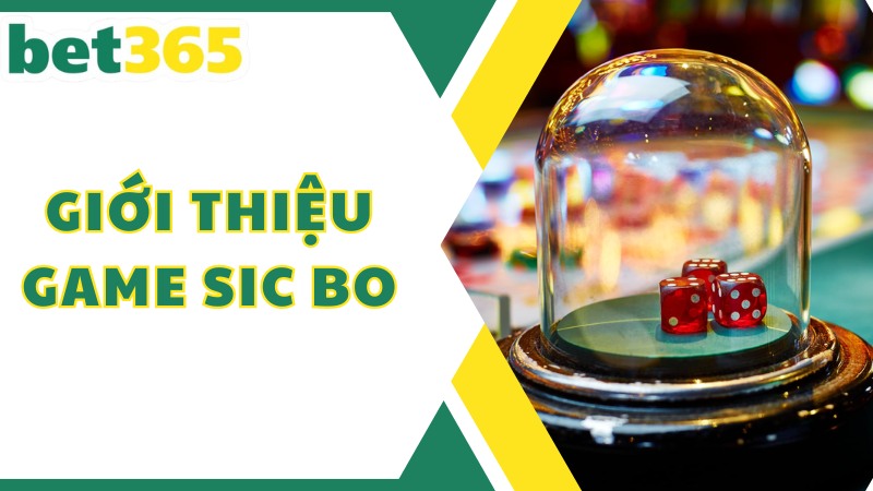 Giới thiệu game Sic Bo tại Bet365 